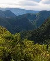 Black River Gorges National Park