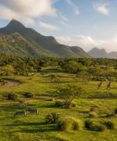 Casela Nature Parks