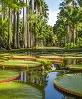 SSR Botanical Garden