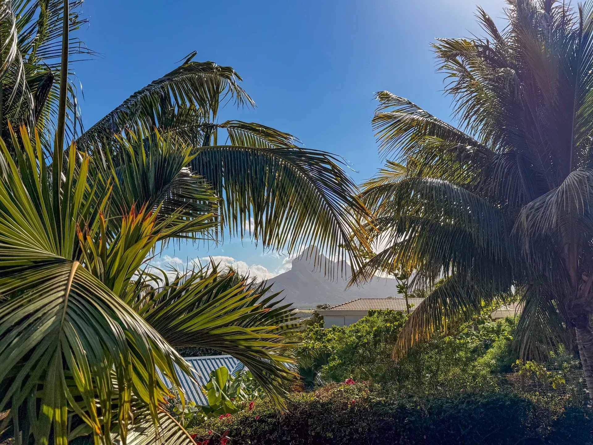 Villa familiale de prestige à louer à Tamarin avec vue mer