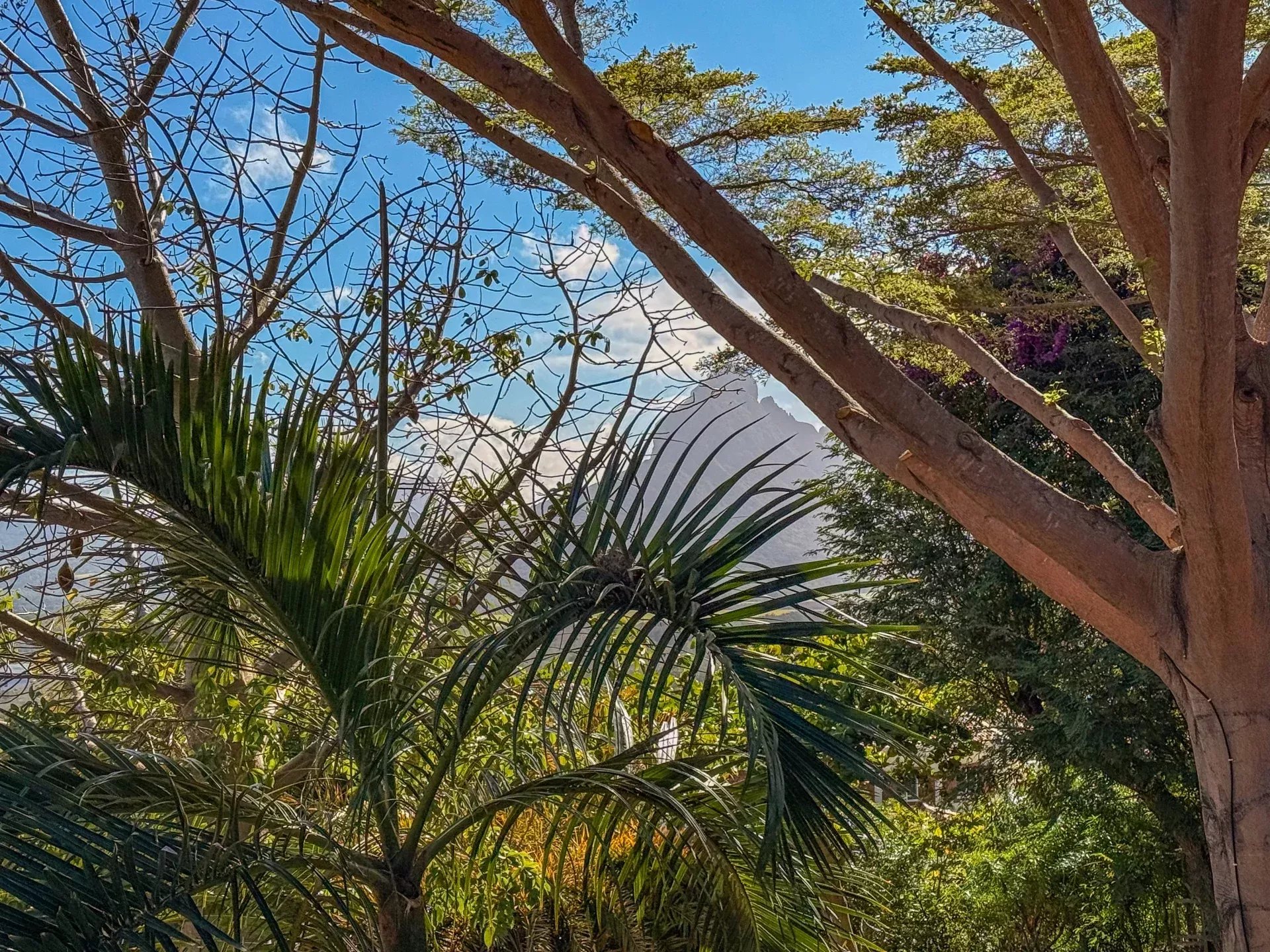 Villa familiale de prestige à louer à Tamarin avec vue mer