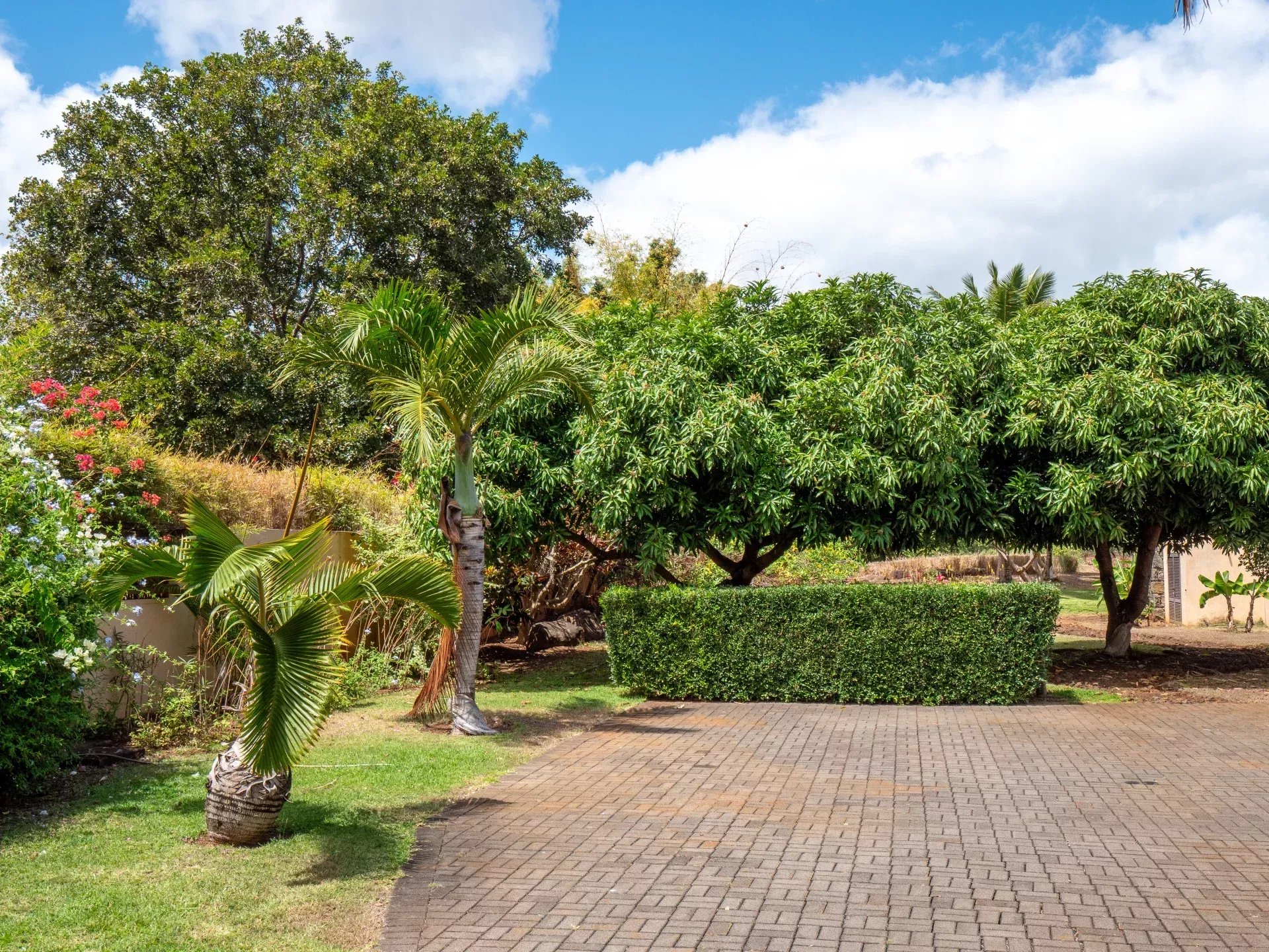 Villa à vendre à Tamarin avec piscine privée sur terrain de 4 000 m²