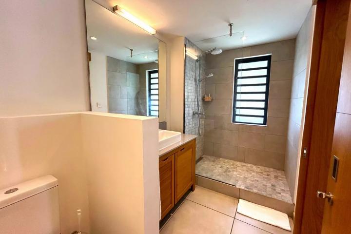 Villa contemporaine avec piscine privée et jardin paysager à vendre à Tamarin