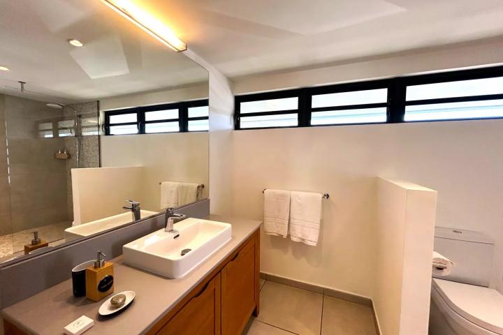 Villa contemporaine avec piscine privée et jardin paysager à vendre à Tamarin