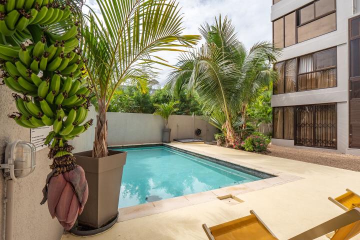 Appartement rénové 3 chambres à louer à La Preneuse