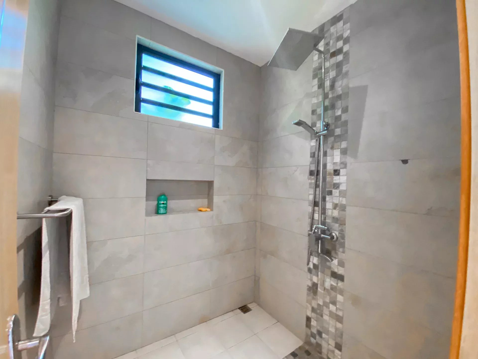 Mon Choisy - exceptional villa for long-term rental