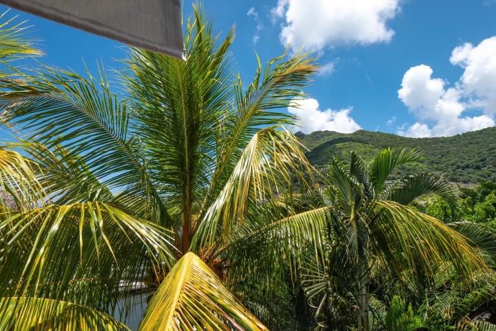 Duplex à La Balise avec vue mer et accès direct au littoral à vendre à Rivière Noire