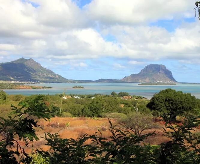 Terrain à vendre de 1 640 m² à Rivière Noire, accessible aux non-Mauriciens