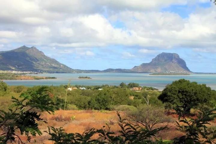 Terrain à vendre de 1 640 m² à Rivière Noire, accessible aux non-Mauriciens