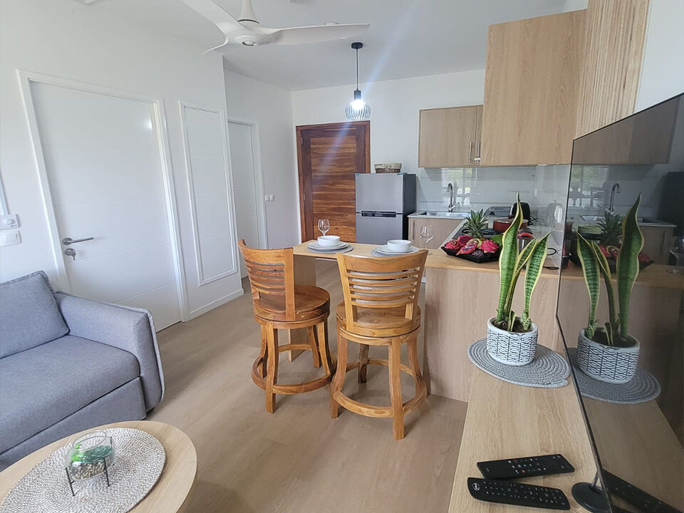 1-bedroom studio to rent in Cap Tamarin Smart City