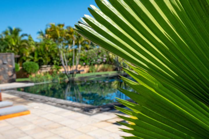 Single-storey 4-bedroom villa to rent in Tamarin Golf