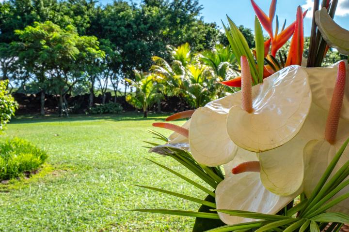 Single-storey 4-bedroom villa to rent in Tamarin Golf