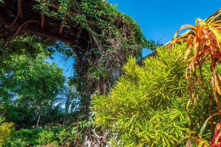 Single-storey 4-bedroom villa to rent in Tamarin Golf