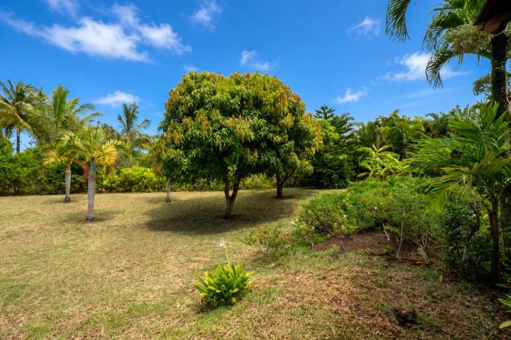 Villa de prestige 3 chambres sur vaste terrain à vendre à Bel Ombre